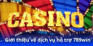 Giới thiệu về dịch vụ hỗ trợ 789win