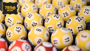 Nuôi lô khung 5 ngày Rồng Bạch Kim - Phương pháp tối ưu hóa