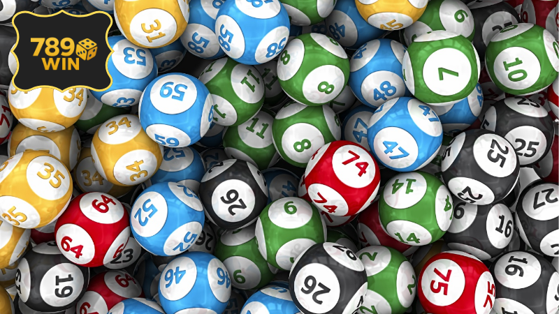 Nuôi song thủ lô khung 5 ngày - Phương pháp hiệu quả cao nhất